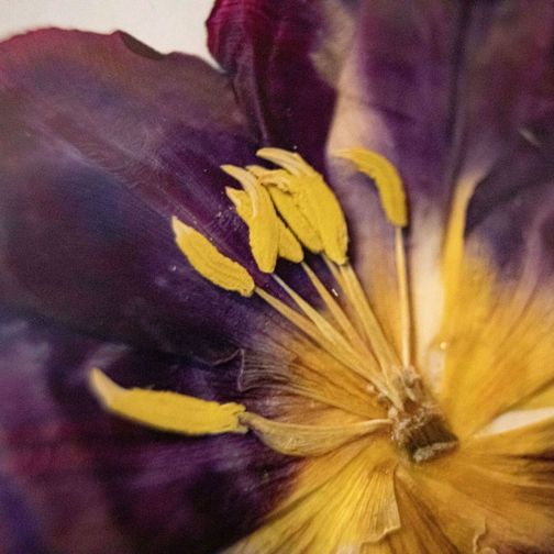 brautstrauss-als-kunstwerk_665